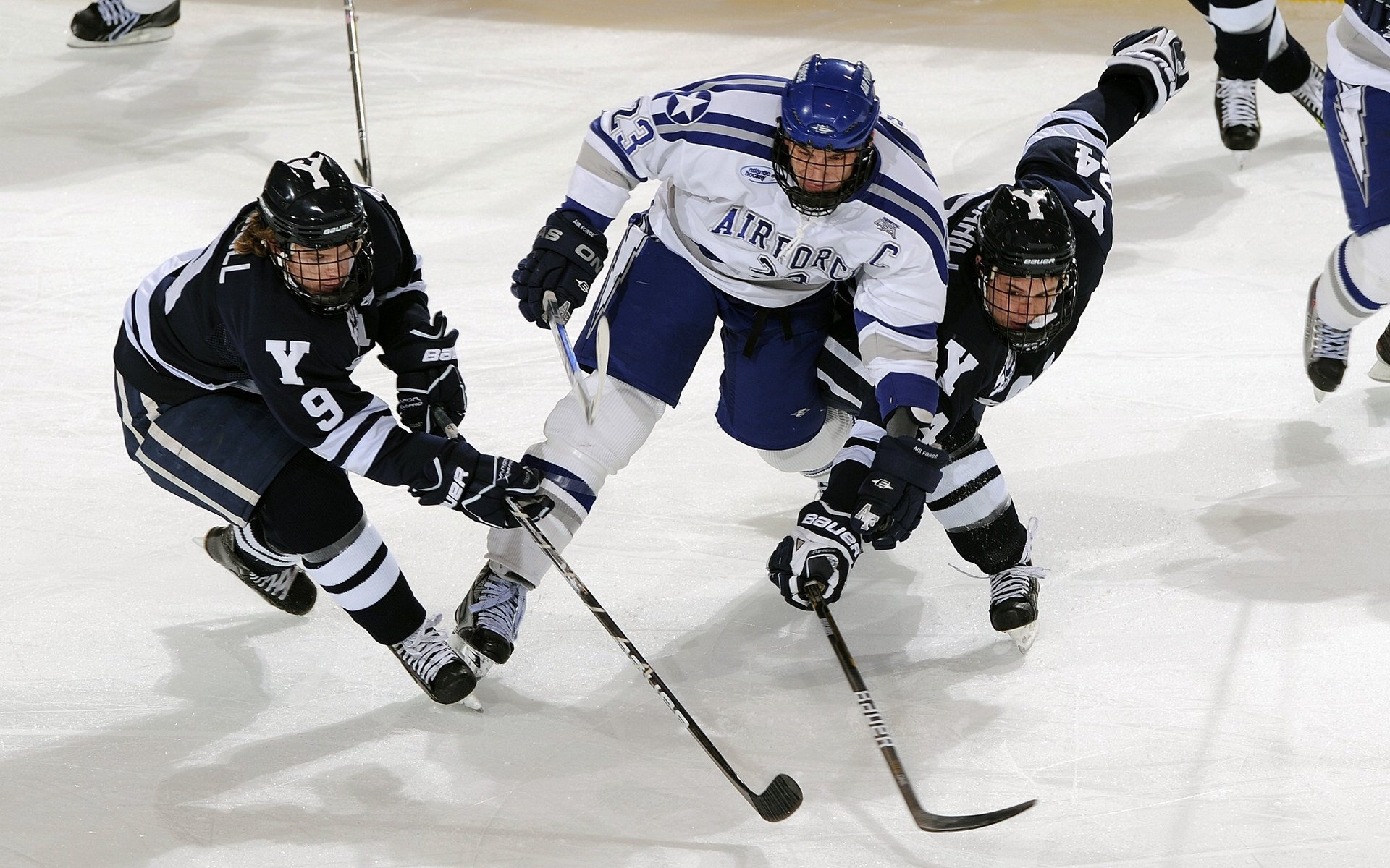 _森林狼年轻球员火力十足，逐步崛起_，森林狼的球员