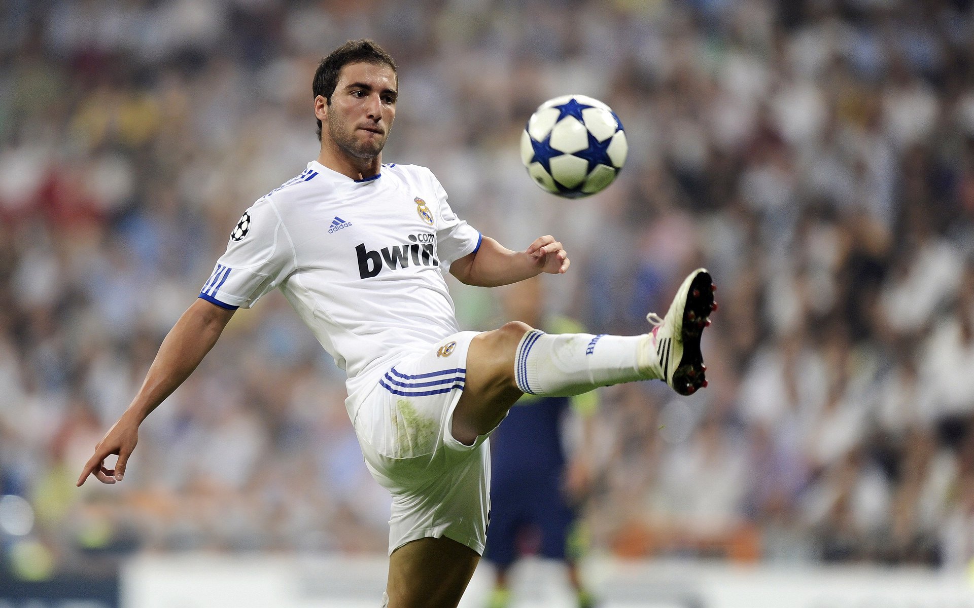 战术天才的“秘密武器”：团队里的奇兵奇谋，战术天才笔趣阁